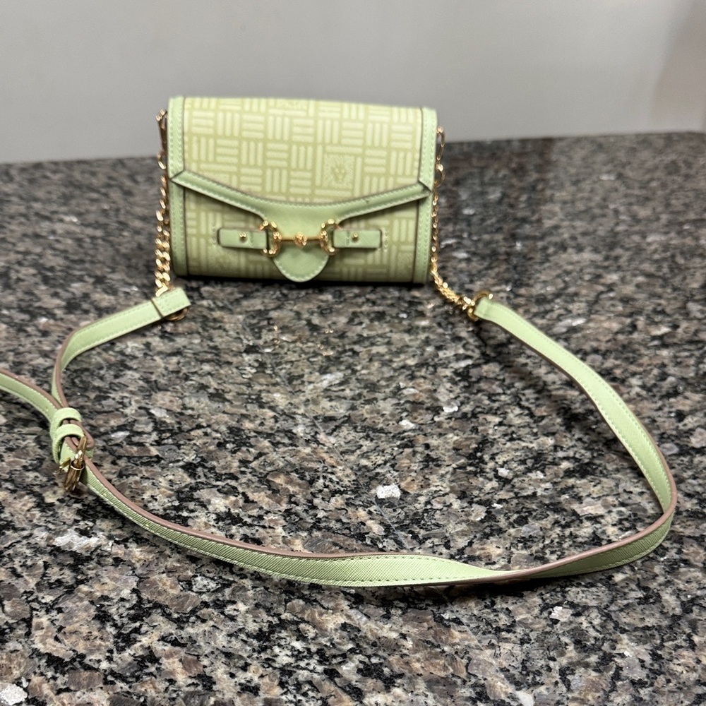 Anne Klein light green Crossbody Bag with Gold Chain adjustable strap EUC